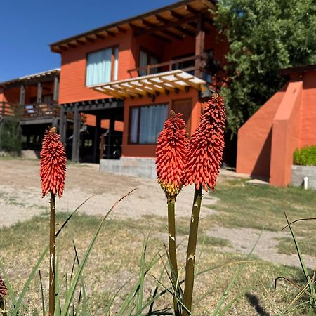 Cabana El Churqui Tafi del Valle Bagian luar foto